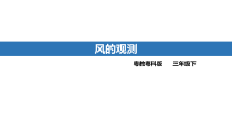 科学【2020新粤教版】三年级下册第四单元第19课时《风的观测》ppt课件