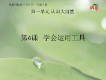 科学【粤科版】一年级上册第4课《学会运用工具》PPT课件1