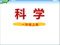 科学【粤科版】一年级上册第5课《常见的水果和蔬菜》PPT课件2