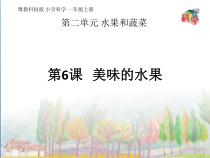科学【粤科版】一年级上册第6课《美味的水果》PPT课件2