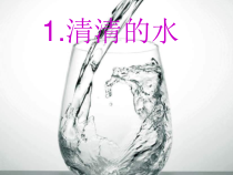 科学【粤科版】一年级下册第1课《清清的水》PPT课件（共19页）