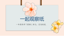 科学【粤科版】一年级下册第8课《一起观察纸》PPT课件（共12页）
