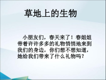 科学【粤科版】一年级下册第11课《草地里有什么》PPT课件（共12页）