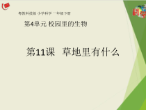 科学【粤科版】一年级下册第11课《草地里有什么》PPT课件（共17页）