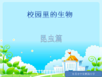 科学【粤科版】一年级下册第13课《观察一种小动物》PPT课件4