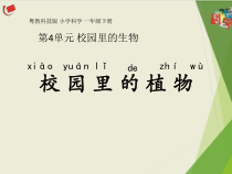 科学【粤科版】一年级下册第14课《校园里的植物》PPT课件（共20页）