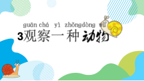 科学【粤科版】二下第 1 课《菜叶上的蜗牛》PPT课件（共16页）