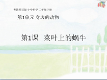 科学【粤科版】二下第 1 课《菜叶上的蜗牛》PPT课件（共18页）