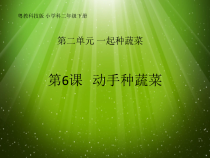 科学【粤科版】二下第6课《动手种蔬菜》PPT课件（共17页）.