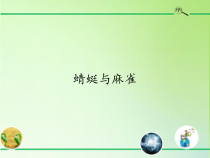 科学【粤教粤科版】三年级上册2《蜻蜓与麻雀》PPT课件（共22页）