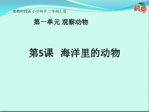 科学【粤教粤科版】三年级上册第5课《海洋里的动物》PPT课件(共20页)