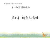 科学【粤教粤科版】三年级上册第1课《鲫鱼与青蛙》教学课件