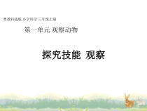 科学【粤教粤科版】三年级上册 《探究技能 观察》教学课件
