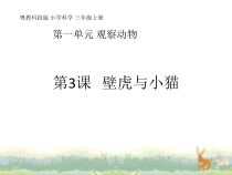 科学【粤教粤科版】三年级上册第3课《壁虎与小猫》教学课件