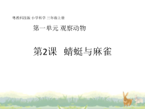 科学【粤教粤科版】三年级上册第2课《蜻蜓与麻雀》教学课件