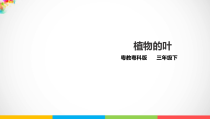 科学【2020新粤教版】三年级下册第三单元第12课时《植物的叶》ppt课件