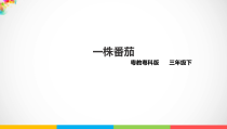 科学【2020新粤教版】三年级下册第三单元第11课时《一株番茄》ppt课件