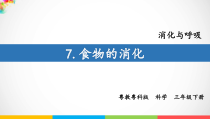 科学【粤教粤科版】三年级下册7《食物的消化》PPT课件（17页含视频素材）