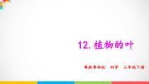 科学【粤教粤科版】三年级下册12《植物的叶》PPT课件（15页含视频素材）
