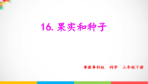 科学【粤教粤科版】三年级下册16《果实和种子》PPT课件（17页含视频素材）