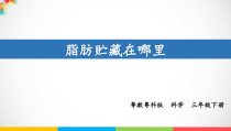 科学【粤教粤科版】三年级下册17《脂肪贮藏在哪里》PPT课件（19页含视频素材）