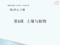 科学【粤教粤科版】三年级下册第3课《土壤与植物》PPT课件(共12页)
