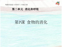科学【粤教粤科版】三年级下册第7课《食物的消化》PPT课件 (共13页)