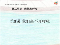 科学【粤教粤科版】三年级下册第8课《我们离不开呼吸》PPT课件(共16页
