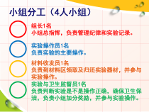科学【粤教版】二年级上册第8课《有趣的钓鱼玩具》PPT课件