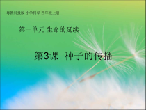 科学【2020新粤教版】四年级上册《种子的传播》ppt课件