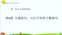 科学【2020新粤教版】四年级上册1.4《专题探究可以不用种子繁殖吗》ppt课件（共37页）