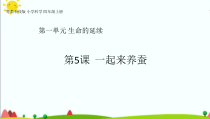 科学【2020新粤教版】四年级上册1.5《一起来养蚕》ppt课件（共45页）