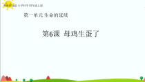 科学【2020新粤教版】四年级上册1.6《母鸡生蛋了》ppt课件（共46页）