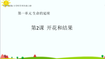 科学【2020新粤教版】四年级上册1.2《开花和结果》ppt课件（共44页）