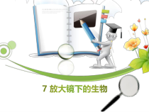科学【2020新粤教版】五年级下册7《放大镜下的生物》ppt课件
