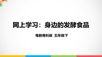 科学【2020新粤教版】五年级下册《网上学习：身边的发酵食品》ppt课件