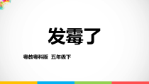 科学【2020新粤教版】五年级下册《发霉了》ppt课件