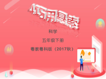 科学【2020新粤教版】五年级下册4《巧用悬索》ppt课件