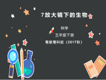科学【2020新粤教版】五年级下册7《放大镜下的生物》ppt课件