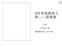 科学【2020新粤教版】五年级下册8《科学观察的工具显微镜》ppt课件 (2)