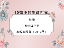 科学【2020新粤教版】五年级下册10《微小的生命世界》ppt课件