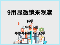 科学【2020新粤教版】五年级下册9《用显微镜来观察》ppt课件