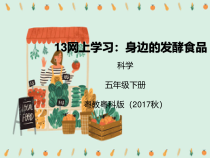 科学【2020新粤教版】五年级下册13《网上学习身边的发酵食品》ppt课件