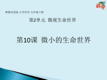 科学【2020新粤教版】五年级下册第10课《微小的生命世界》ppt课件