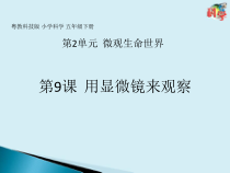 科学【2020新粤教版】五年级下册-第9课《用显微镜来观察》ppt课件