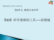 科学【2020新粤教版】五年级下册第8课《科学观察的工具显微镜》ppt课件