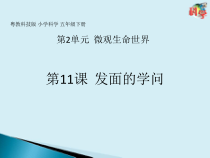 科学【2020新粤教版】五年级下册第11课《发面的学问》ppt课件