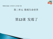 科学【2020新粤教版】五年级下册第12课《发霉了》ppt课件