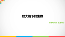 科学【2020新粤教版】五年级下册《放大镜下的生物》ppt课件