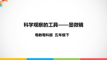 科学【2020新粤教版】五年级下册《科学观察的工具——显微镜》ppt课件（含教案+视频）